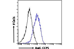 ABIN768638 Flow cytometric analysis of paraformaldehyde fixed NIH3T3 cells (blue line), permeabilized with 0. (AGBL5 抗体  (Internal Region))