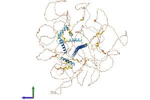 AlphaFold protein structure predicition of Mouse Recombinant Nckap5l Protein, UniprotID Q6GQX2