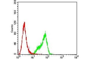 Flow Cytometry (FACS) image for anti-Myosin Light Chain Kinase (MYLK) (AA 1375-1524) antibody (ABIN7193606)