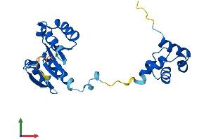 AlphaFold protein structure predicition of Mouse Recombinant Faap24 Protein, UniprotID Q8BHL6