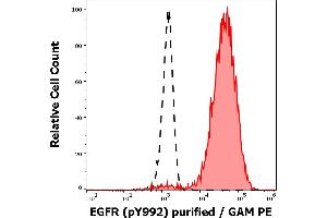 Separation of EGF stimulated A431 cell suspension stained using anti-human EGFR (pY1173) (EM-13) purified antibody (concentration in sample 3 μg/mL, GAM PE, red-filled) from EGF stimulated A431 cell suspension unstained by primary antibody (GAM PE, black-dashed) in flow cytometry analysis (intracellular staining). (EGFR 抗体  (Tyr1173))