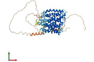 Protein Structure (PS) image for Solute Carrier Family 41, Member 2 (SLC41A2) (AA 1-573) protein (His tag) (ABIN7551654)