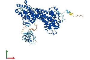AlphaFold protein structure predicition of Mouse Recombinant Hal Protein, UniprotID P35492