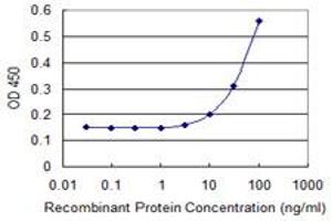 Detection limit for recombinant GST tagged CCBL1 is 3 ng/ml as a capture antibody. (CCBL1 抗体  (AA 1-374))