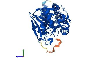 AlphaFold protein structure predicition of Mouse Recombinant Ppp2cb Protein, UniprotID P62715