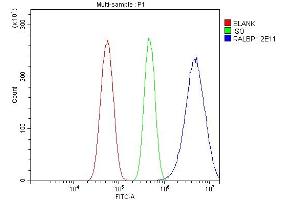 Flow Cytometry analysis of U87 cells using anti-RALBP1 antibody (ABIN7600799). (RALBP1 抗体  (AA 239-506))