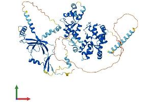 Protein Structure (PS) image for Polymerase (RNA) III (DNA Directed) Polypeptide E (80kD) (POLR3E) (AA 1-708) protein (His tag) (ABIN7555252)