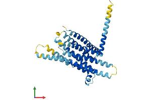 AlphaFold protein structure predicition of Human Recombinant TAS2R30 Protein, UniprotID P59541