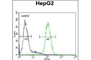 S100Z Antibody (N-term) (ABIN654583 and ABIN2844285) flow cytometric analysis of HepG2 cells (right histogram) compared to a negative control cell (left histogram). (S100Z 抗体  (N-Term))