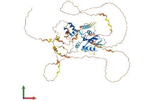 AlphaFold protein structure predicition of Mouse Recombinant Socs7 Protein, UniprotID Q8VHQ2
