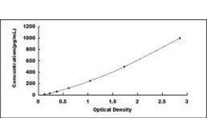 ELISA image for Bone Morphogenetic Protein 5 (BMP5) ELISA Kit (ABIN417829)