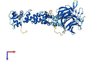 AlphaFold protein structure predicition of Mouse Recombinant Klhl38 Protein, UniprotID Q8BSF5