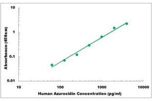 Representative Standard Curve (Azurocidin ELISA 试剂盒)