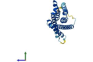AlphaFold protein structure predicition of Mouse Recombinant Cyb561d1 Protein, UniprotID A2AE42