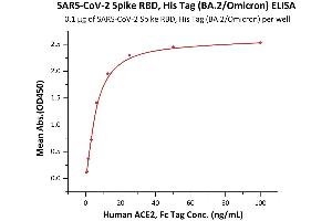 Immobilized SARS-CoV-2 Spike RBD, His Tag (BA.