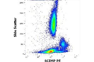 Flow cytometry intracellular staining pattern of human peripheral whole blood stained using anti-SCIMP (NVL-07) PE antibody (10 μL reagent / 100 μL of peripheral whole blood). (SCIMP 抗体  (PE))
