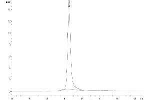 Size-exclusion chromatography-High Pressure Liquid Chromatography (SEC-HPLC) image for Receptor Tyrosine Kinase-Like Orphan Receptor 2 (ROR2) (AA 34-403) protein (His-Avi Tag) (ABIN7275534)
