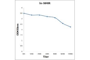 ELISA image for anti-Epidermal Growth Factor Receptor Pathway Substrate 8 (EPS8) (AA 251-350) antibody (ABIN705011)