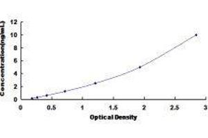 CD109 (CD109) ELISA Kit