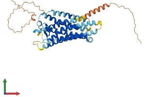AlphaFold protein structure predicition of Human Recombinant PTGER3 Protein, UniprotID P43115 (PTGER3 Protein (AA 1-390) (His tag))