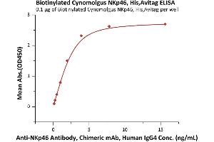 Immobilized Biotinylated Cynomolgus NKp46, His,Avitag (ABIN6973180) at 1 μg/mL (100 μL/well) on streptavidin  precoated (0. (NCR1 Protein (AA 22-257) (His tag,AVI tag,Biotin))
