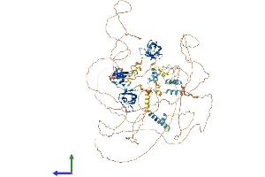 Protein Structure (PS) image for Sorbin and SH3 Domain Containing 2 (Sorbs2) (AA 1-1100) protein (His tag) (ABIN7555592)