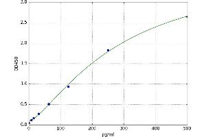 Fibroblast Growth Factor 10 (FGF10) ELISA Kit