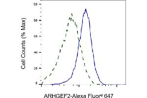 Validation of ARHGEF2 knockdown using flow cytometry.