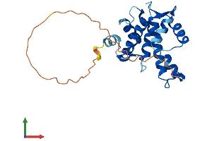 Protein Structure (PS) image for Grancalcin, EF-Hand Calcium Binding Protein (GCA) (AA 1-220) protein (His tag) (ABIN7559804)