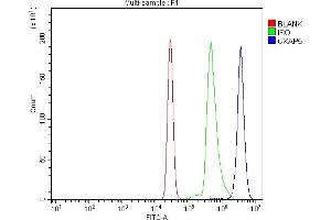 Flow Cytometry analysis of U937 cells using anti-ch TOG/CKAP5 antibody (ABIN6719294).