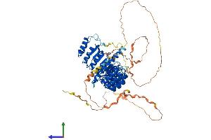 Protein Structure (PS) image for Protein Phosphatase 1, Regulatory Subunit 37 (PPP1R37) (AA 1-691) protein (His tag) (ABIN7550935)
