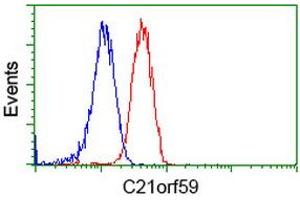 Flow cytometric Analysis of Jurkat cells, using anti-C21orf59 antibody (ABIN2453835), (Red), compared to a nonspecific negative control antibody, (Blue). (C21orf59 抗体)