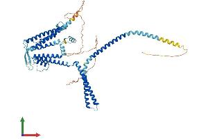Protein Structure (PS) image for Potassium Intermediate/small Conductance Calcium-Activated Channel, Subfamily N, Member 2 (KCNN2) (AA 1-579) protein (His tag) (ABIN7554250)