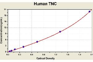Diagramm of the ELISA kit to detect Human TNCwith the optical density on the x-axis and the concentration on the y-axis.