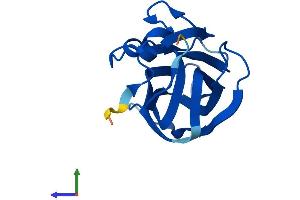 Protein Structure (PS) image for Heat Shock Protein Family B (Small), Member 11 (HSPB11) (AA 1-144) protein (His tag) (ABIN7548431)