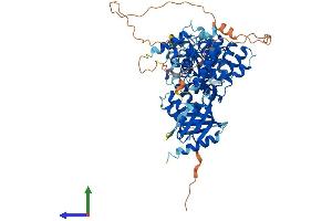 AlphaFold protein structure predicition of Mouse Recombinant Tbc1d23 Protein, UniprotID Q8K0F1