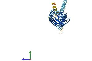 AlphaFold protein structure predicition of Human Recombinant GJB7 Protein, UniprotID Q6PEY0