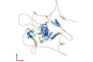 AlphaFold protein structure predicition of Human Recombinant TP73 Protein, UniprotID O15350
