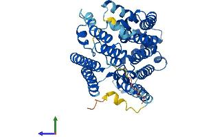 AlphaFold protein structure predicition of Mouse Recombinant Pigm Protein, UniprotID Q8C2R7