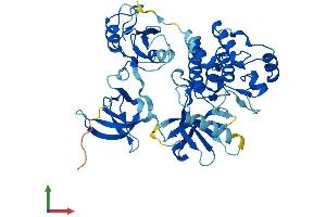 Protein Structure (PS) image for PTK6 Protein tyrosine Kinase 6 (PTK6) (AA 1-451) protein (His tag) (ABIN7555086)