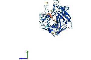Protein Structure (PS) image for Carbonic Anhydrase X (CA10) (AA 1-328) protein (His tag) (ABIN7552993)