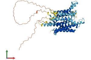 Protein Structure (PS) image for Solute Carrier Family 45, Member 2 (SLC45A2) (AA 1-530) protein (His tag) (ABIN7556515)