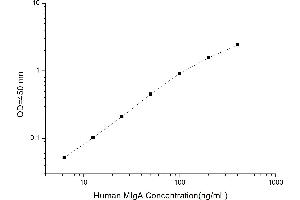 Typical standard curve (Membrane IgA ELISA 试剂盒)