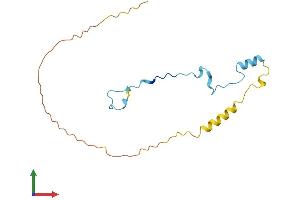 Protein Structure (PS) image for Small Nuclear Ribonucleoprotein 27kDa (U4/U6.U5) (SNRNP27) (AA 1-155) protein (His tag) (ABIN7559463)