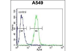 COP1 Antibody (N-term) (ABIN655275 and ABIN2844867) flow cytometric analysis of A549 cells (right histogram) compared to a negative control cell (left histogram).