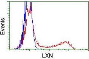 HEK293T cells transfected with either RC202769 overexpress plasmid (Red) or empty vector control plasmid (Blue) were immunostained by anti-LXN antibody (ABIN2455184), and then analyzed by flow cytometry. (Latexin 抗体)