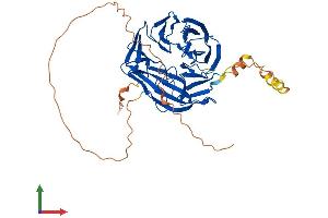 Protein Structure (PS) image for WD Repeat Domain, phosphoinositide Interacting 1 (WIPI1) (AA 1-446) protein (His tag) (ABIN7556043)
