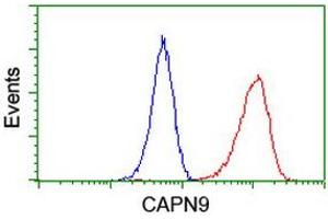 Image no. 5 for anti-Calpain 9 (CAPN9) antibody (ABIN1497090) (Calpain 9 抗体)