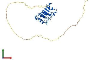 Protein Structure (PS) image for Acidic (Leucine-Rich) Nuclear phosphoprotein 32 Family, Member E (ANP32E) (AA 1-268) protein (His tag) (ABIN7552148)