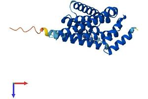 AlphaFold protein structure predicition of Human Recombinant YWHAB Protein, UniprotID P31946 (YWHAB Protein (AA 1-246) (His tag))